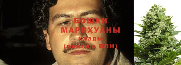 эйфоретик Елизово